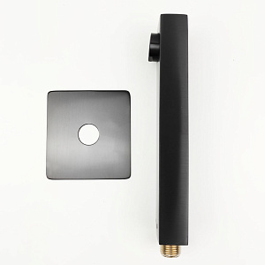 Излив PAINI Dax-R 84PZ430R черный матовый купить в интернет-магазине сантехники Sanbest