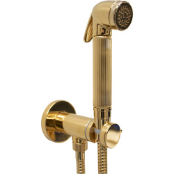Гигиенический душ Bossini Nikita E37008B.021 золото купить в интернет-магазине сантехники Sanbest