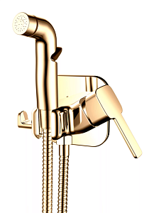Гигиенический душ Rush Capri CA1435-99 золото купить в интернет-магазине сантехники Sanbest